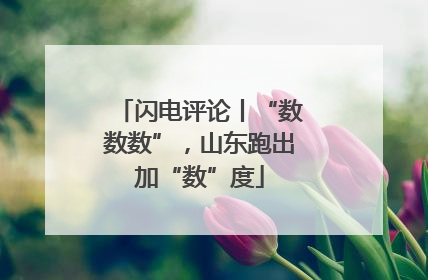 闪电评论丨“数数数”，山东跑出加“数”度