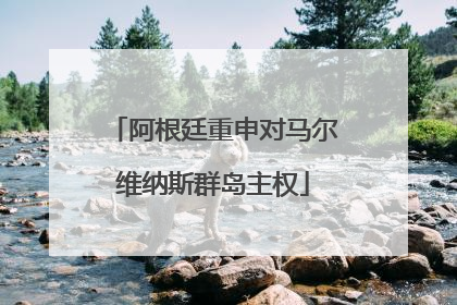 阿根廷重申对马尔维纳斯群岛主权