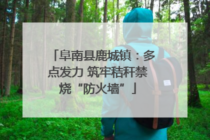 阜南县鹿城镇：多点发力 筑牢秸秆禁烧“防火墙”