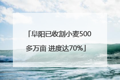 阜阳已收割小麦500多万亩 进度达70%