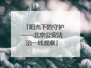 阳光下的守护——北京公安法治一线观察
