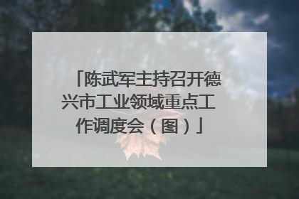 陈武军主持召开德兴市工业领域重点工作调度会（图）