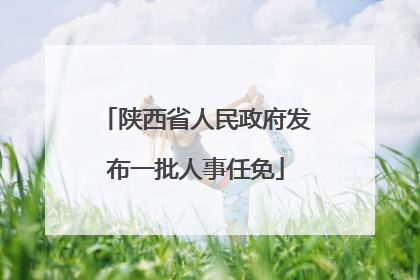 陕西省人民政府发布一批人事任免