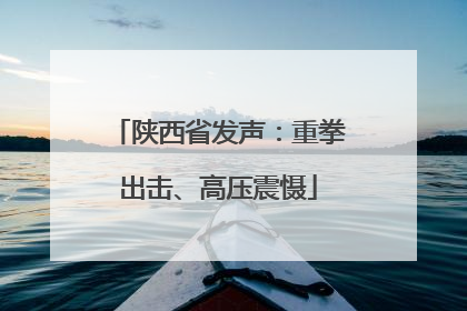 陕西省发声：重拳出击、高压震慑