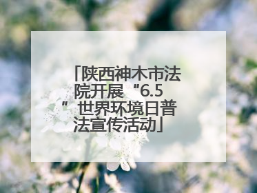 陕西神木市法院开展“6.5”世界环境日普法宣传活动