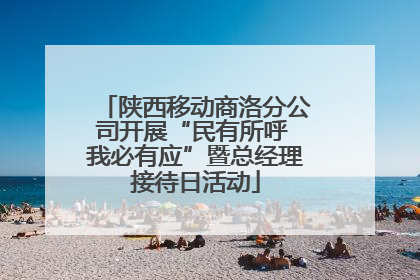 陕西移动商洛分公司开展“民有所呼 我必有应”暨总经理接待日活动
