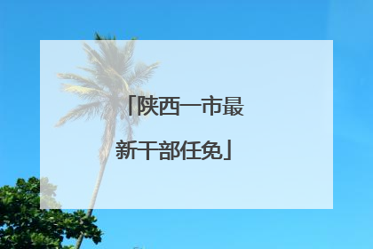 陕西一市最新干部任免