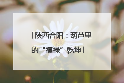 陕西合阳：葫芦里的“福禄”乾坤