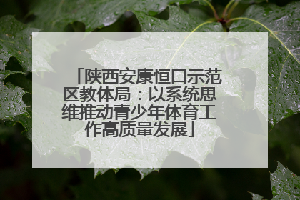 陕西安康恒口示范区教体局：以系统思维推动青少年体育工作高质量发展