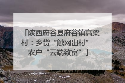陕西府谷县府谷镇高梁村：乡货“触网出村” 农户“云端致富”