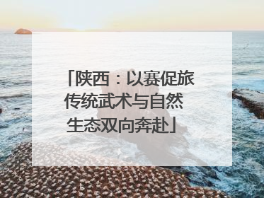 陕西：以赛促旅 传统武术与自然生态双向奔赴