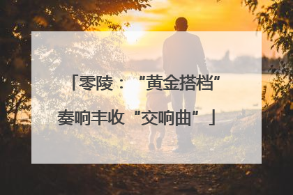 零陵：“黄金搭档”奏响丰收“交响曲”