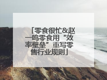 零食很忙&赵一鸣零食用“效率壁垒”重写零售行业规则