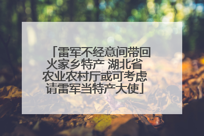 雷军不经意间带回火家乡特产 湖北省农业农村厅或可考虑请雷军当特产大使