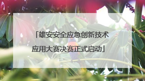 雄安安全应急创新技术应用大赛决赛正式启动
