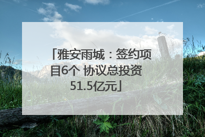 雅安雨城：签约项目6个 协议总投资51.5亿元