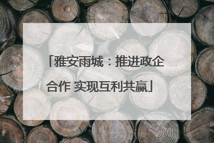 雅安雨城：推进政企合作 实现互利共赢