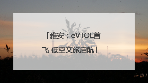 雅安：eVTOL首飞 低空文旅启航