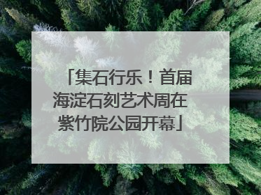 集石行乐！首届海淀石刻艺术周在紫竹院公园开幕