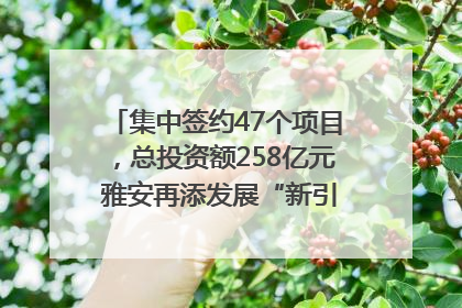 集中签约47个项目，总投资额258亿元 雅安再添发展“新引擎”｜数读西投