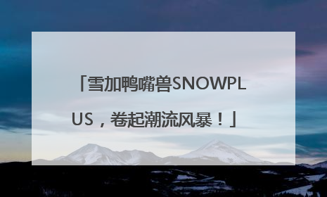 雪加鸭嘴兽SNOWPLUS，卷起潮流风暴！