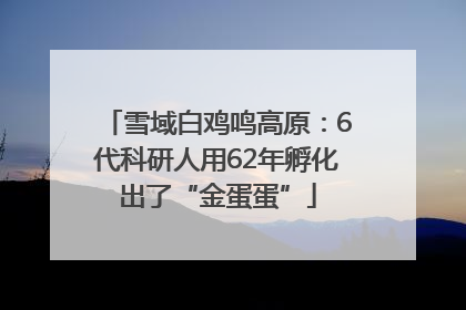 雪域白鸡鸣高原：6代科研人用62年孵化出了“金蛋蛋”