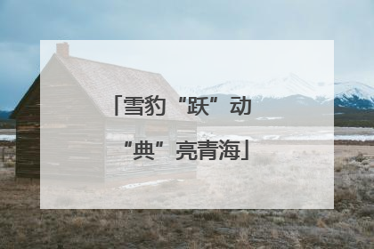 雪豹“跃”动 “典”亮青海