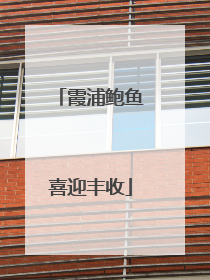 霞浦鲍鱼喜迎丰收
