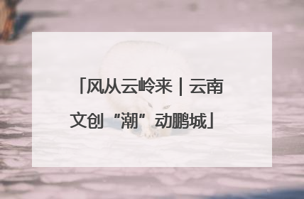风从云岭来｜云南文创“潮”动鹏城