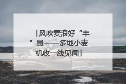 风吹麦浪好“丰”景——多地小麦机收一线见闻