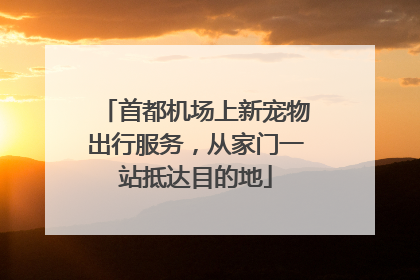 首都机场上新宠物出行服务，从家门一站抵达目的地