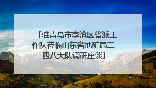 驻青岛市李沧区省派工作队莅临山东省地矿局二四八大队调研座谈