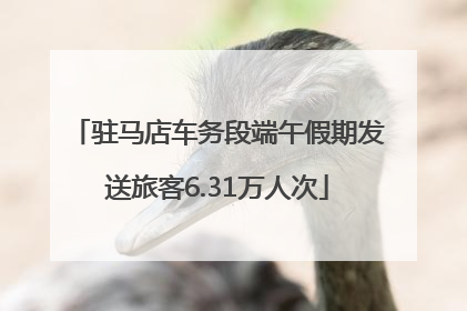 驻马店车务段端午假期发送旅客6.31万人次