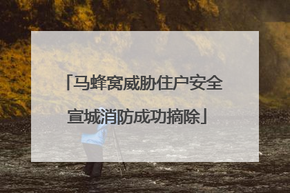 马蜂窝威胁住户安全 宣城消防成功摘除