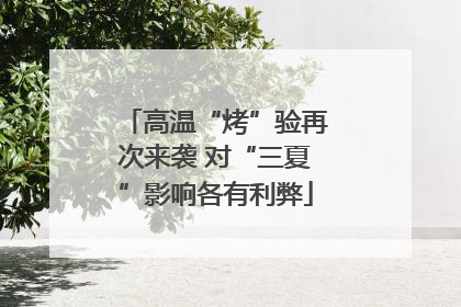 高温“烤”验再次来袭 对“三夏”影响各有利弊