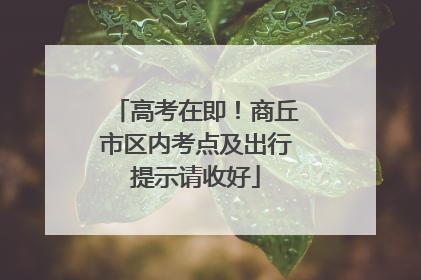 高考在即！商丘市区内考点及出行提示请收好