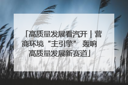 高质量发展看汽开｜营商环境“主引擎” 轰响高质量发展新赛道