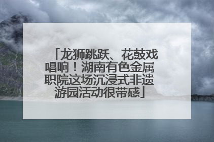 龙狮跳跃、花鼓戏唱响！湖南有色金属职院这场沉浸式非遗游园活动很带感