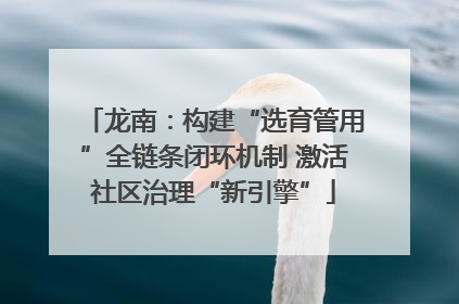 龙南：构建“选育管用”全链条闭环机制 激活社区治理“新引擎”