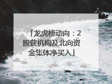 龙虎榜动向：2股获机构及北向资金集体净买入