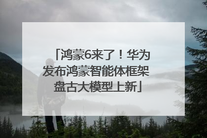 鸿蒙6来了！华为发布鸿蒙智能体框架 盘古大模型上新