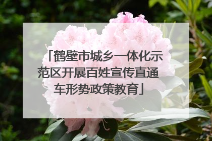 鹤壁市城乡一体化示范区开展百姓宣传直通车形势政策教育