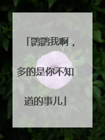 鹮鹮我啊，多的是你不知道的事儿