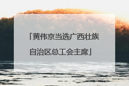 黄伟京当选广西壮族自治区总工会主席