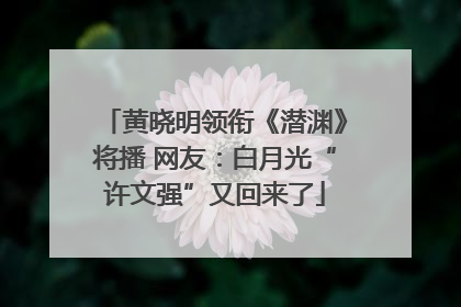黄晓明领衔《潜渊》将播 网友：白月光“许文强”又回来了