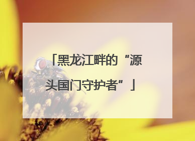 黑龙江畔的“源头国门守护者”