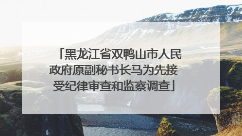 黑龙江省双鸭山市人民政府原副秘书长马为先接受纪律审查和监察调查