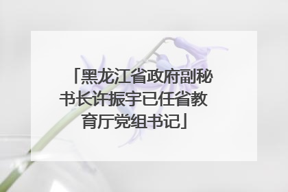黑龙江省政府副秘书长许振宇已任省教育厅党组书记