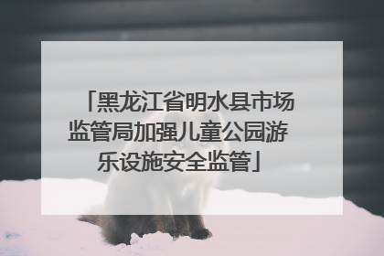 黑龙江省明水县市场监管局加强儿童公园游乐设施安全监管