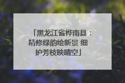 黑龙江省桦南县：精修绿韵绘新景 细护芳枝映晴空